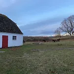 Cattle And Horses At Lundstedet At Skovsgaard 度假居 鲁德克丙