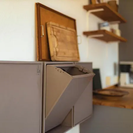 Cattle And Horses At Lundstedet At Skovsgaard * Rudkobing