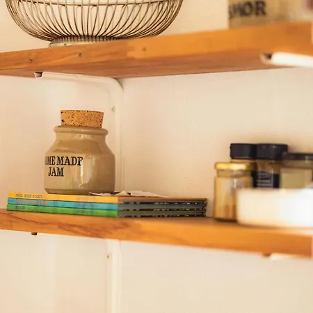 Cattle And Horses At Lundstedet At Skovsgaard * Rudkobing