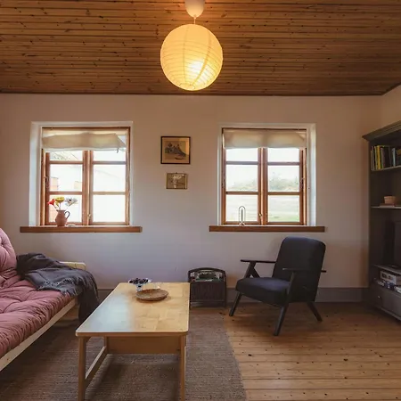 Cattle And Horses At Lundstedet At Skovsgaard Rudkøbing