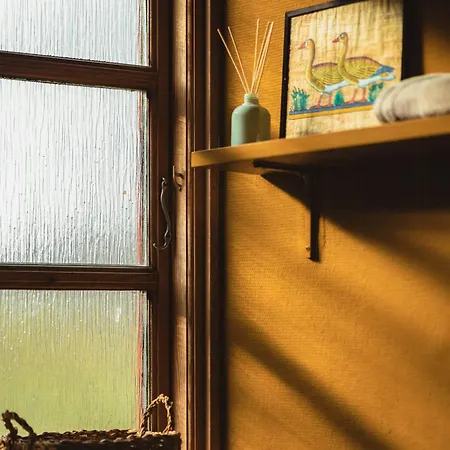 Cattle And Horses At Lundstedet At Skovsgaard Ferienhaus *