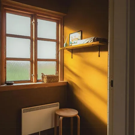 Cattle And Horses At Lundstedet At Skovsgaard Hébergement de vacances *