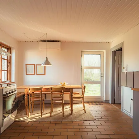 Cattle And Horses At Lundstedet At Skovsgaard * Rudkøbing