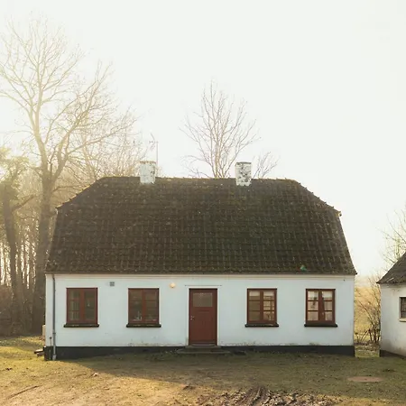 Cattle And Horses At Lundstedet At Skovsgaard Holiday home Rudkobing
