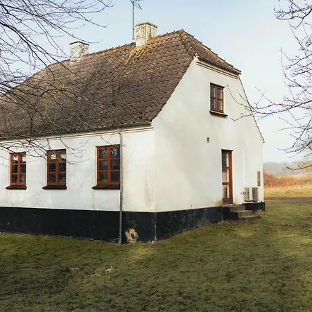 Cattle And Horses At Lundstedet At Skovsgaard Ferienhaus Rudkøbing