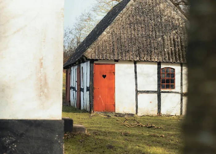 Nyaraló Cattle And Horses At Lundstedet At Skovsgaard