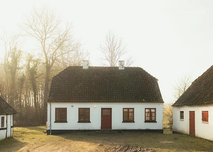 Cattle And Horses At Lundstedet At Skovsgaard Nyaraló Rudkøbing