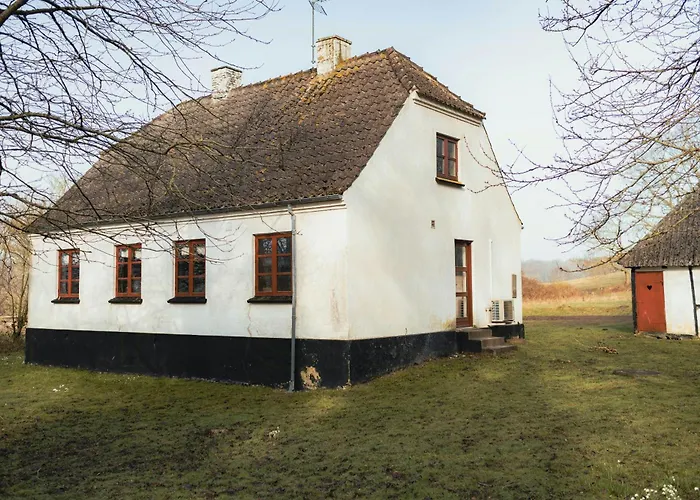 Cattle And Horses At Lundstedet At Skovsgaard Nyaraló Rudkøbing